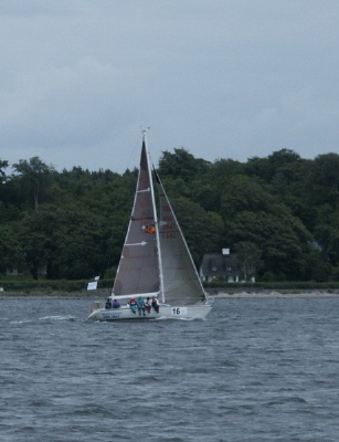 Der Sieger der Herzen