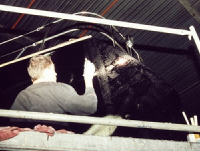 der letzte Quadratmeter